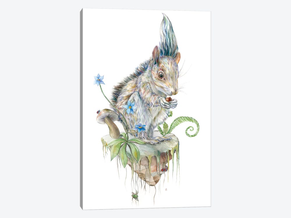 Squirrel Island by Brandon Keehner 1-piece Canvas Art Print