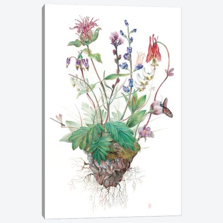 Wildflowers Canvas Print #KEE14} by Brandon Keehner Canvas Print