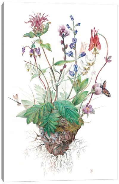 Wildflowers Canvas Art Print - Brandon Keehner