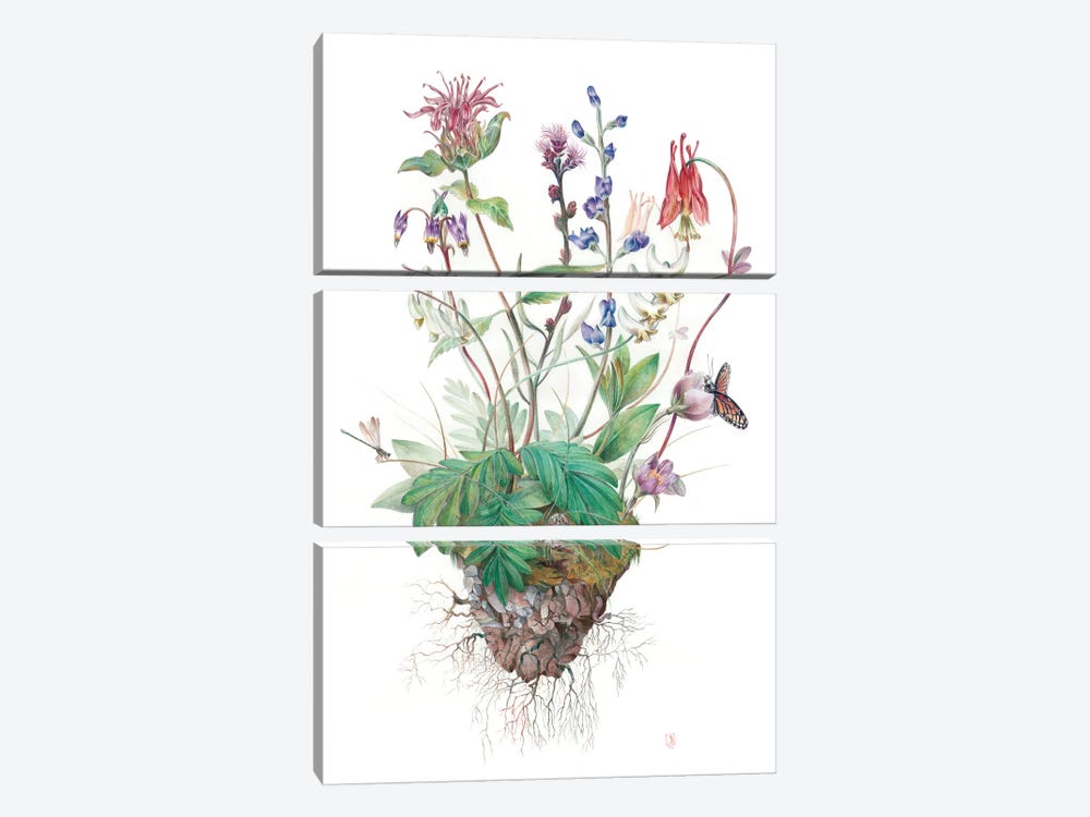Wildflowers by Brandon Keehner 3-piece Canvas Print