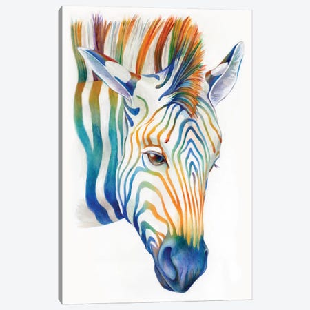 Zebra Canvas Print #KEE15} by Brandon Keehner Canvas Print