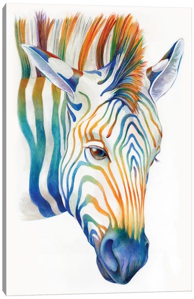 Zebra Canvas Art Print - Brandon Keehner