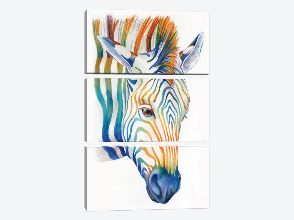Zebra by Brandon Keehner 3-piece Canvas Artwork