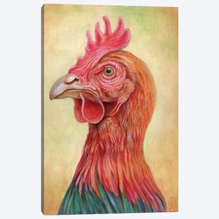 Chicken Canvas Print #KEE17} by Brandon Keehner Canvas Art Print