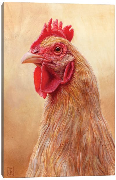 Hildy Canvas Art Print - Chicken & Rooster Art