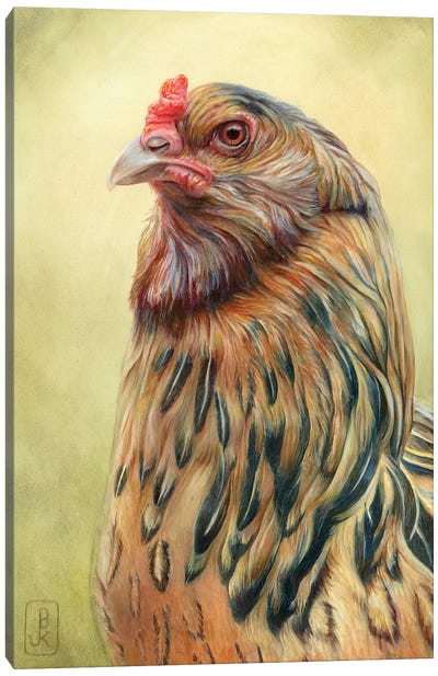 Iggy Canvas Art Print - Chicken & Rooster Art