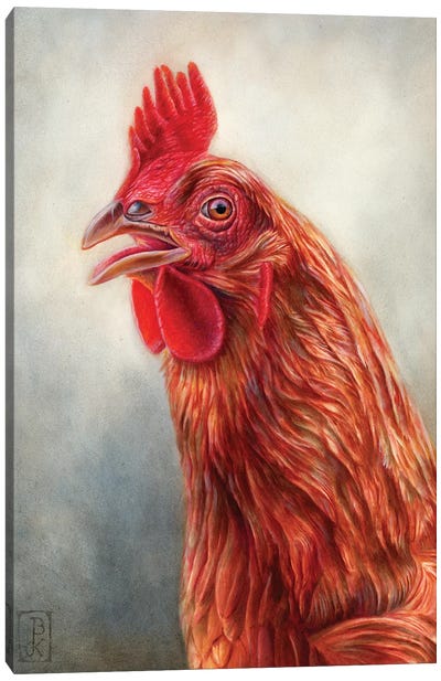 Red Hen Canvas Art Print - Chicken & Rooster Art