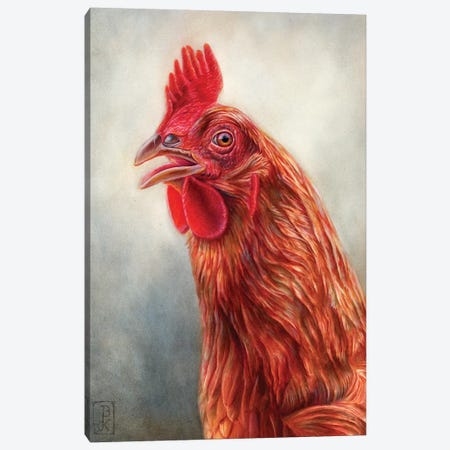Red Hen Canvas Print #KEE22} by Brandon Keehner Canvas Print