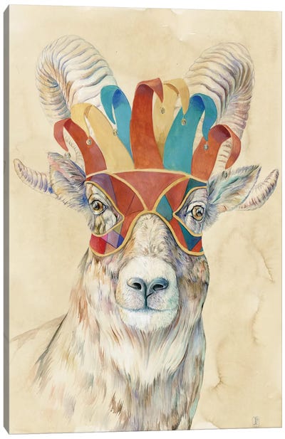Masquerading Bighorn Sheep Canvas Art Print - Rams