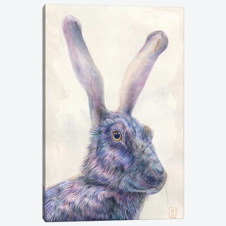 Black Rabbit Canvas Print #KEE3} by Brandon Keehner Canvas Artwork