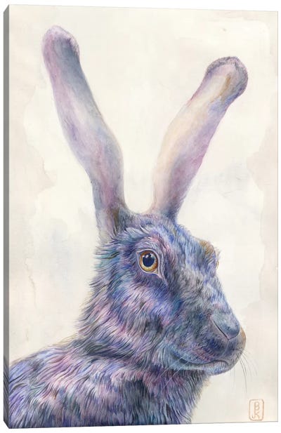Black Rabbit Canvas Art Print - Brandon Keehner