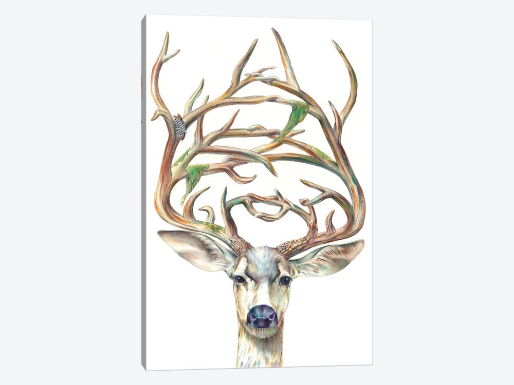 Mule Deer Buck by Brandon Keehner 1-piece Art Print