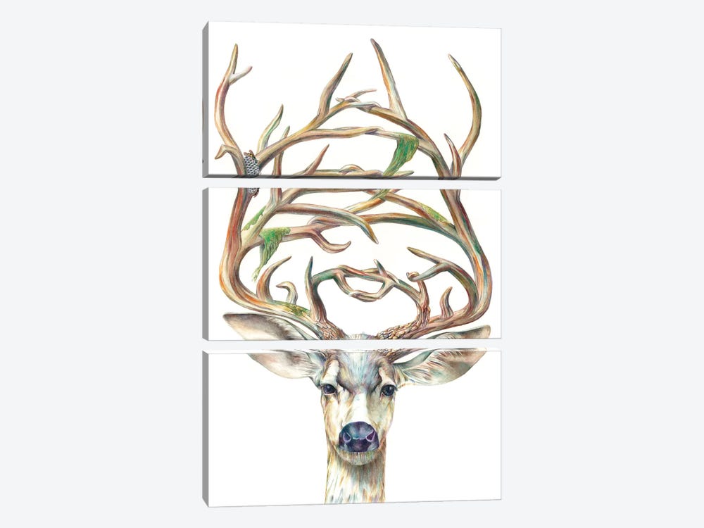Mule Deer Buck by Brandon Keehner 3-piece Art Print