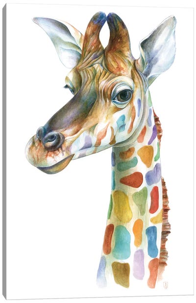Colorful Giraffe Canvas Art Print - Wildlife Art