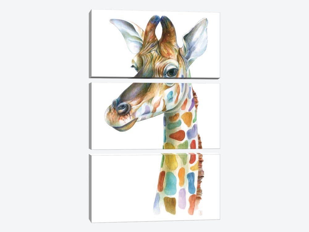 Colorful Giraffe by Brandon Keehner 3-piece Canvas Artwork