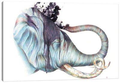 Elephant Shower Canvas Art Print - Brandon Keehner