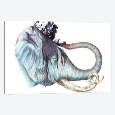 Elephant Shower Canvas Print #KEE8} by Brandon Keehner Canvas Art