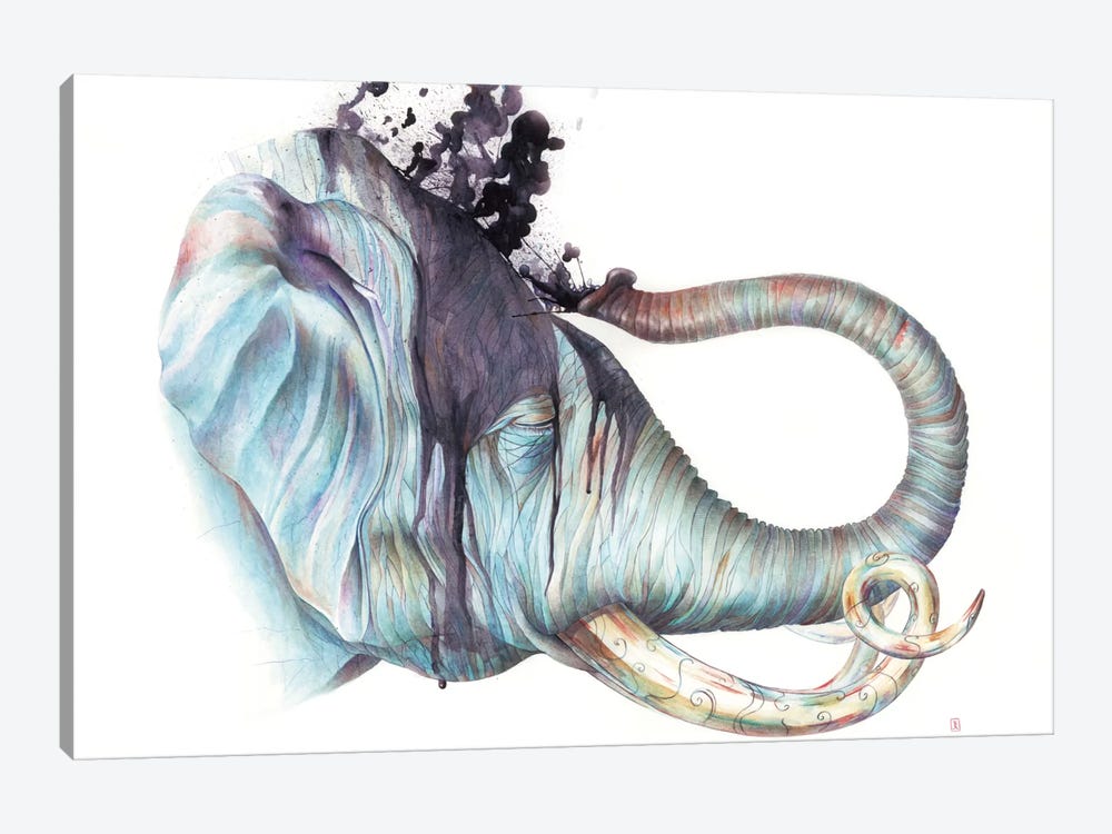 Elephant Shower by Brandon Keehner 1-piece Canvas Print