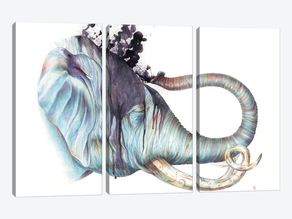 Elephant Shower by Brandon Keehner 3-piece Canvas Print