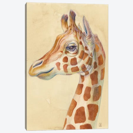 Giraffe Profile Canvas Print #KEE9} by Brandon Keehner Canvas Artwork