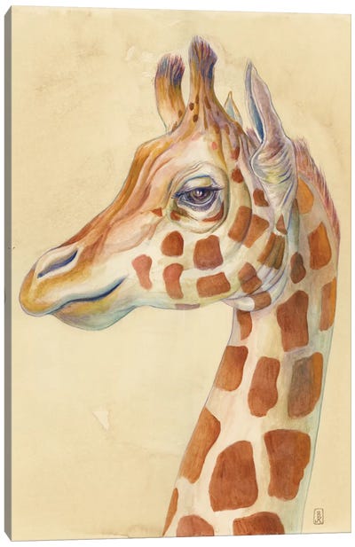Giraffe Profile Canvas Art Print - Giraffe Art