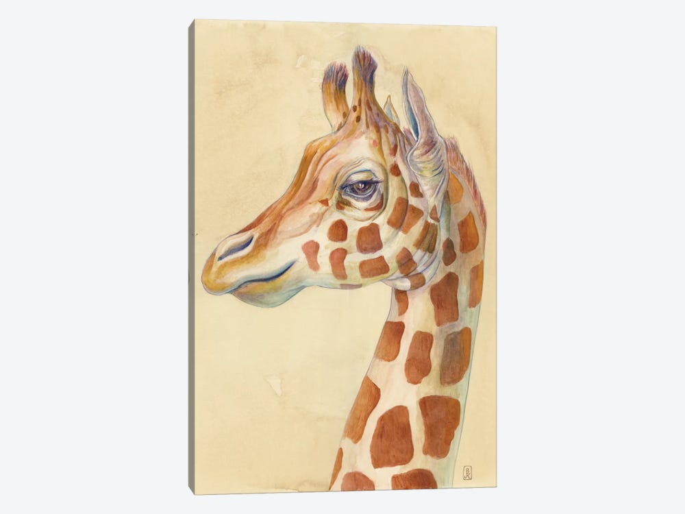 Giraffe Profile by Brandon Keehner 1-piece Canvas Artwork