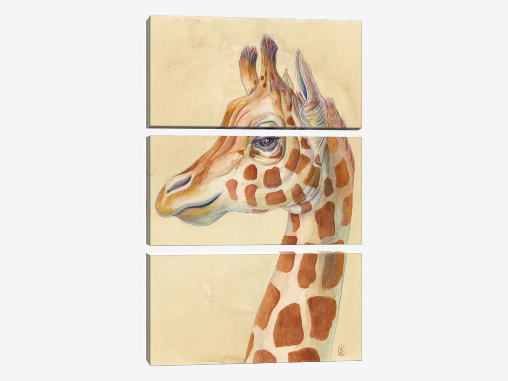 Giraffe Profile by Brandon Keehner 3-piece Canvas Wall Art
