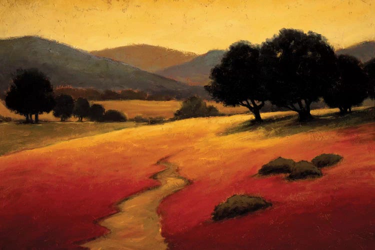 Santa Ynez I by Kevin Harris wall art