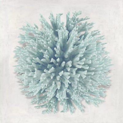 Coral Mint I by Caroline Kelly framed canvas print