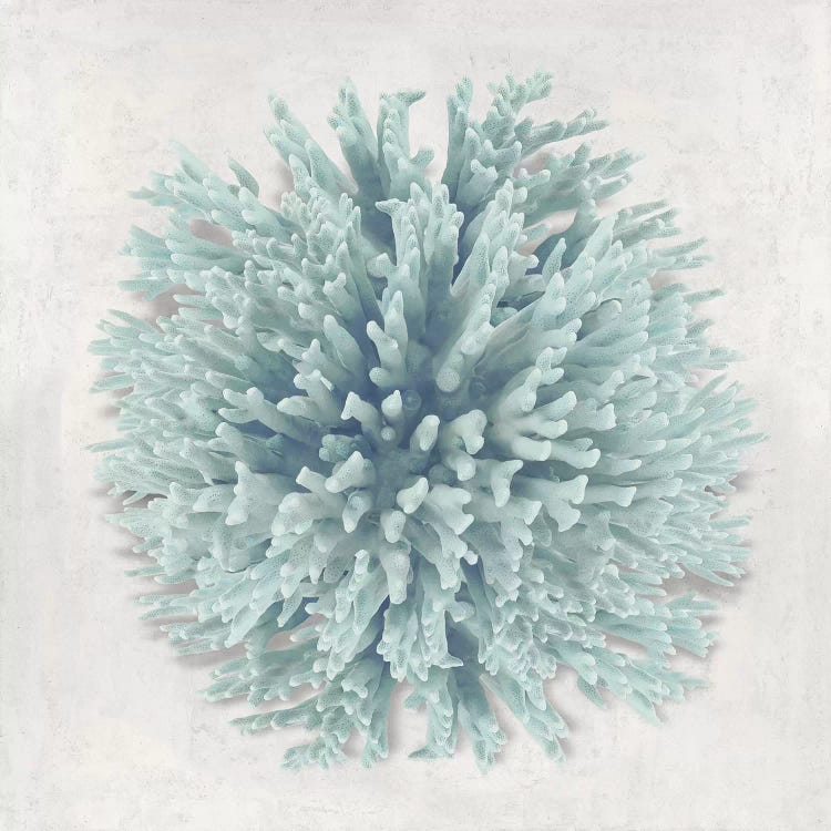 Coral Mint I by Caroline Kelly wall art