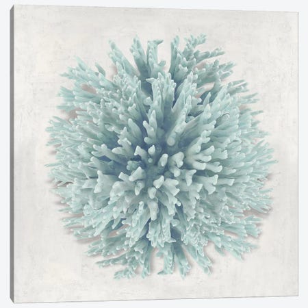 Coral Mint I Canvas Print #KEL102} by Caroline Kelly Canvas Art Print