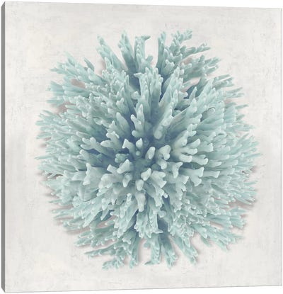 Coral Mint I Canvas Art Print - Caroline Kelly