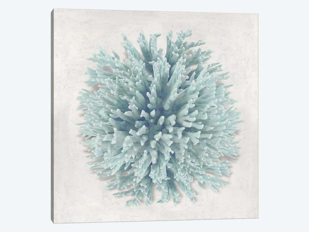 Coral Mint I by Caroline Kelly 1-piece Canvas Artwork