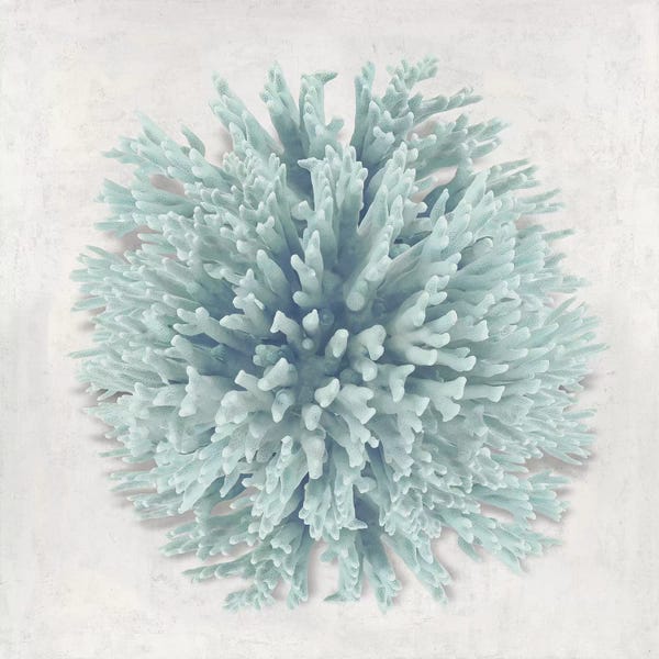 Caroline Kelly: Coral Mint I by Caroline Kelly