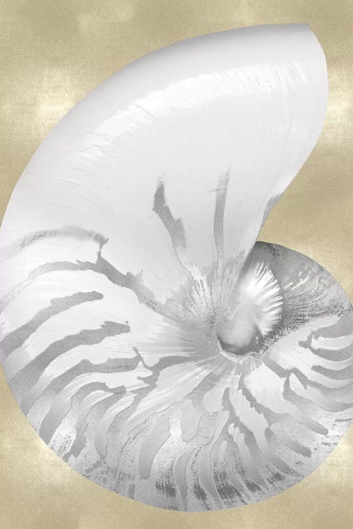 Silver Pearl Shell on Gold III by Caroline Kelly wall art