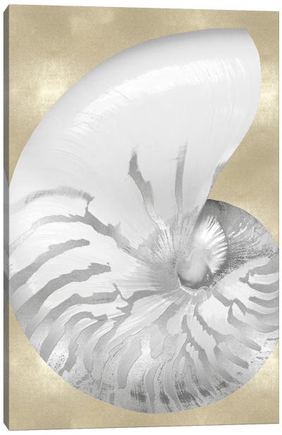 Silver Pearl Shell on Gold III Canvas Art Print - Sea Shell Art