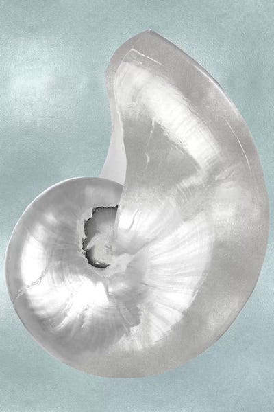 Silver Shell on Aqua Blue I by Caroline Kelly canvas print