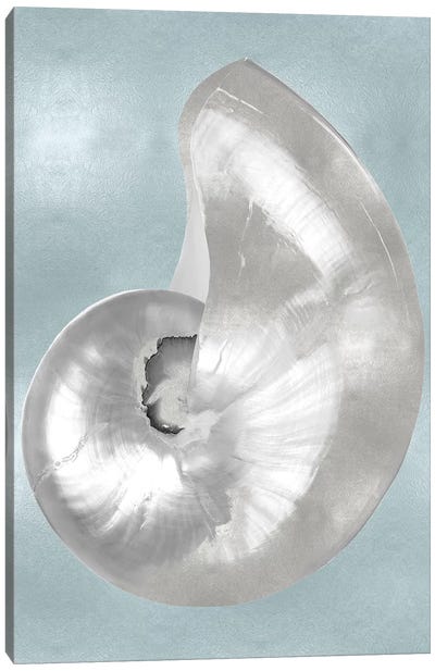 Silver Shell on Aqua Blue I Canvas Art Print - Sea Shell Art