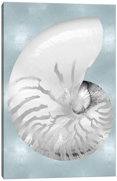 Silver Shell on Aqua Blue II Canvas Art Print - Sea Shell Art