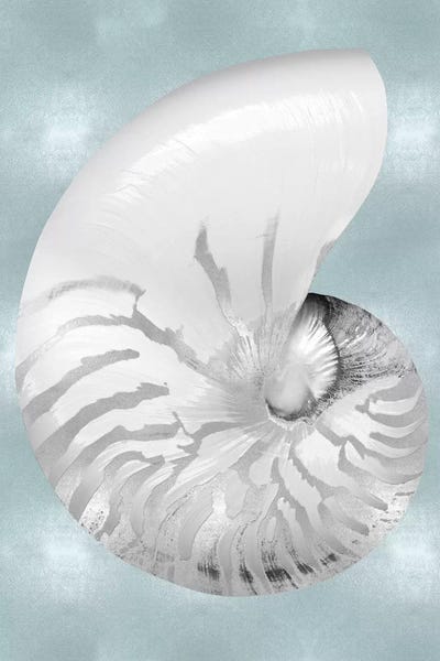 Caroline Kelly: Silver Shell on Aqua Blue II by Caroline Kelly