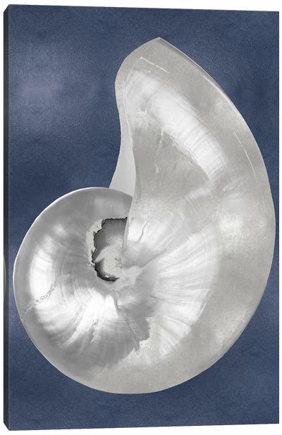 Silver Shell on Indigo Blue I Canvas Art Print - Sea Shell Art