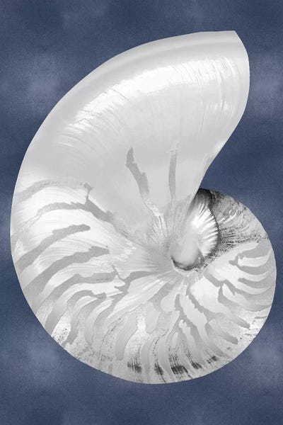Caroline Kelly: Silver Shell on Indigo Blue II by Caroline Kelly