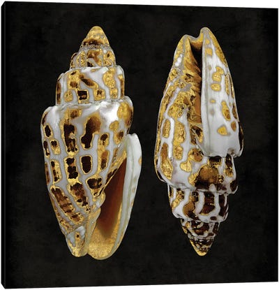 Golden Ocean Gems I Canvas Art Print - Sea Shell Art