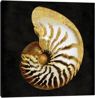 Golden Ocean Gems II Canvas Art Print - Black & Dark Art