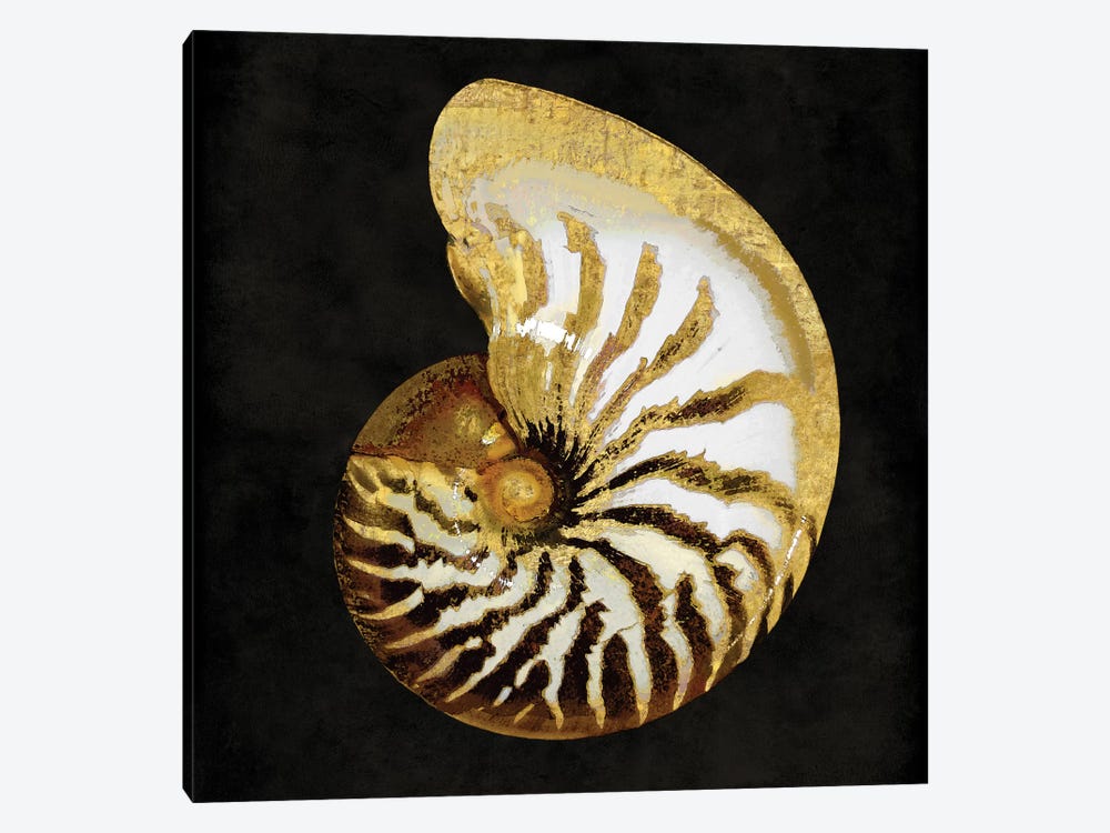 Golden Ocean Gems II by Caroline Kelly 1-piece Canvas Art Print