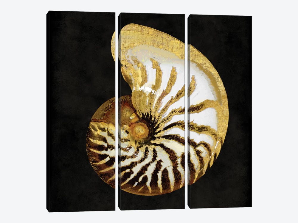 Golden Ocean Gems II by Caroline Kelly 3-piece Canvas Art Print