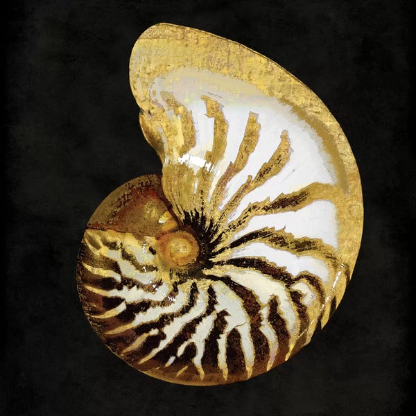 Caroline Kelly: Golden Ocean Gems II by Caroline Kelly
