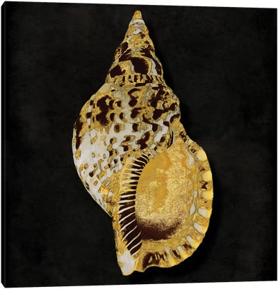Golden Ocean Gems III Canvas Art Print - Sea Shell Art