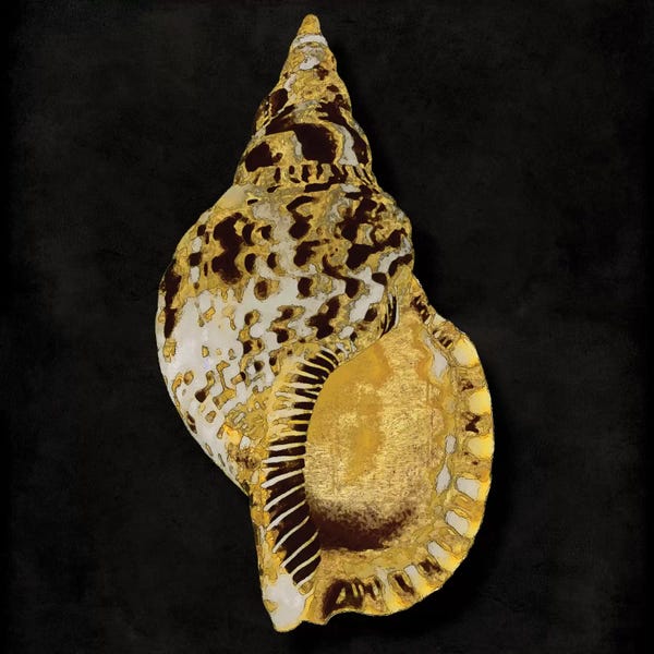 Caroline Kelly: Golden Ocean Gems III by Caroline Kelly