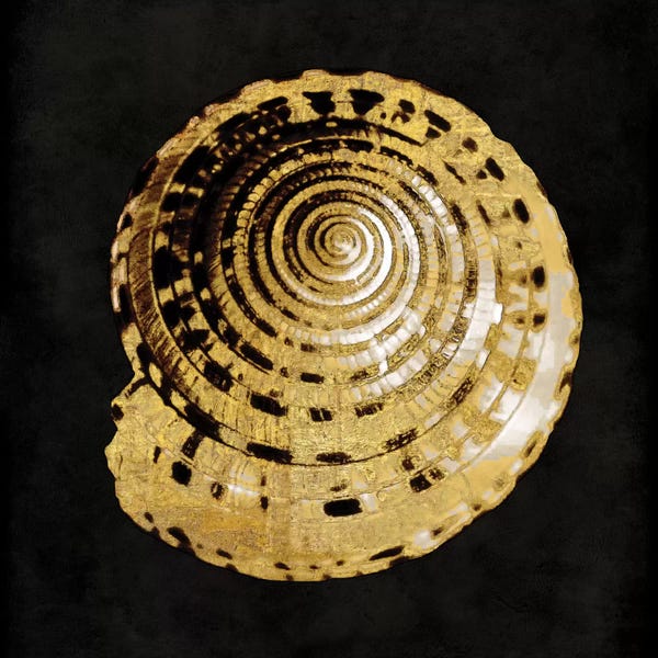 Caroline Kelly: Golden Ocean Gems IV by Caroline Kelly